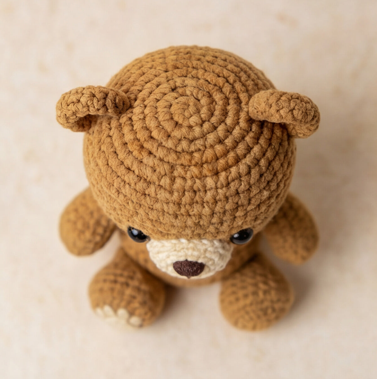 Ted #01